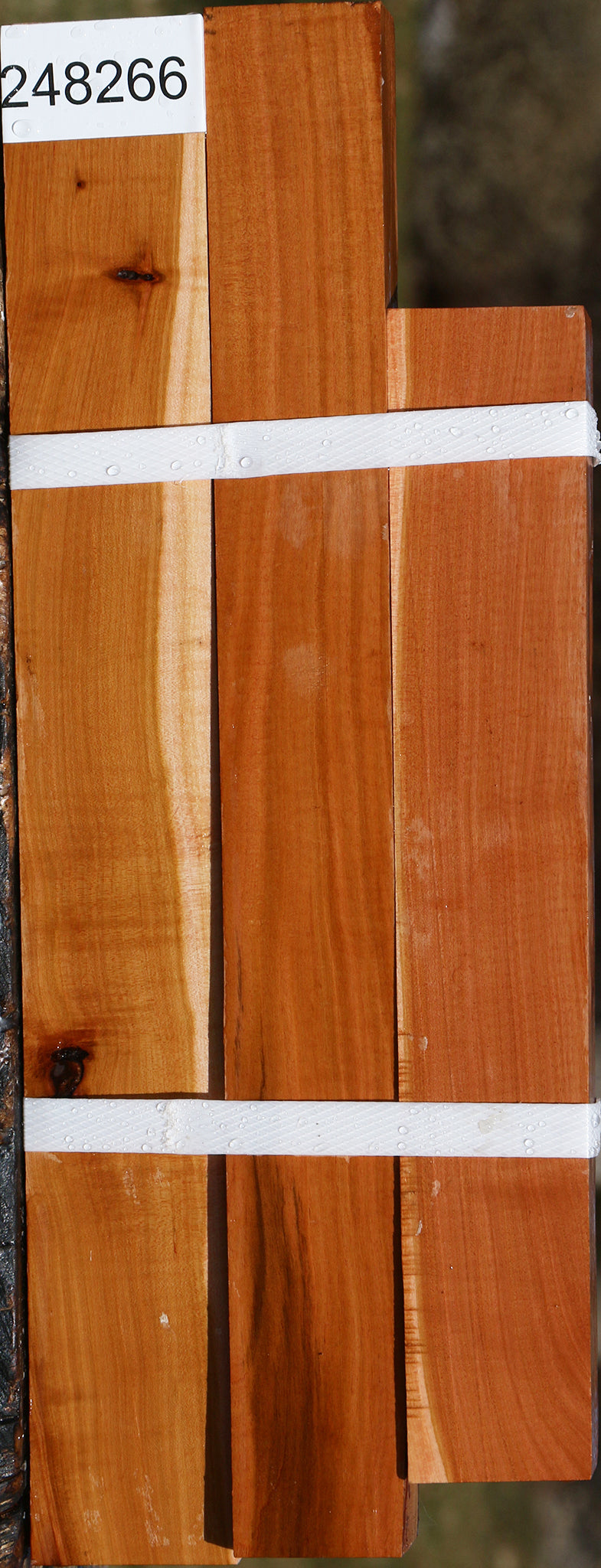 Oregon Ironwood Lumber 3 Pack