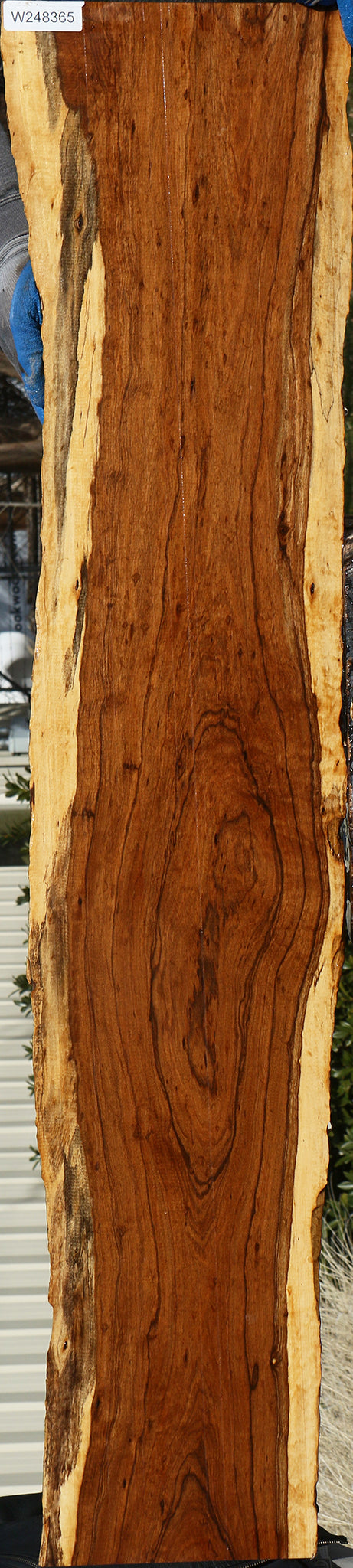 Extra Fancy Tamboti Live Edge Lumber