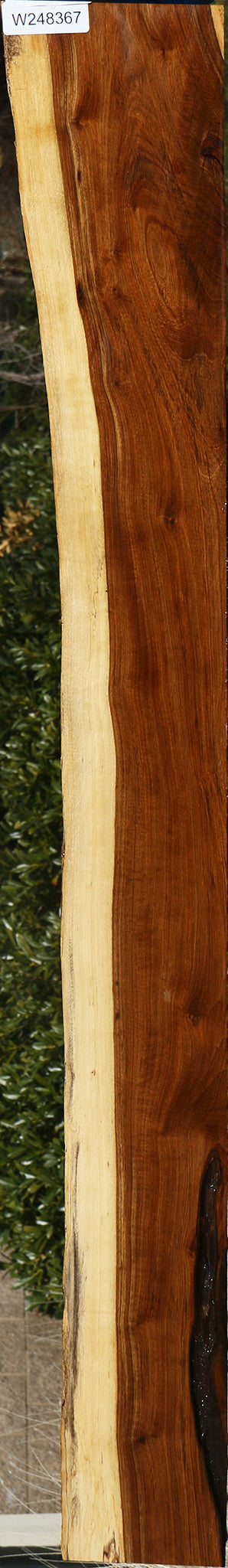 Tamboti Live Edge Lumber