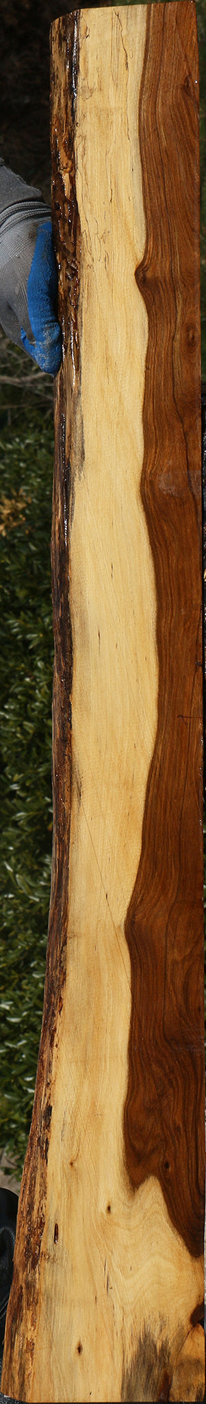 Tamboti Live Edge Lumber