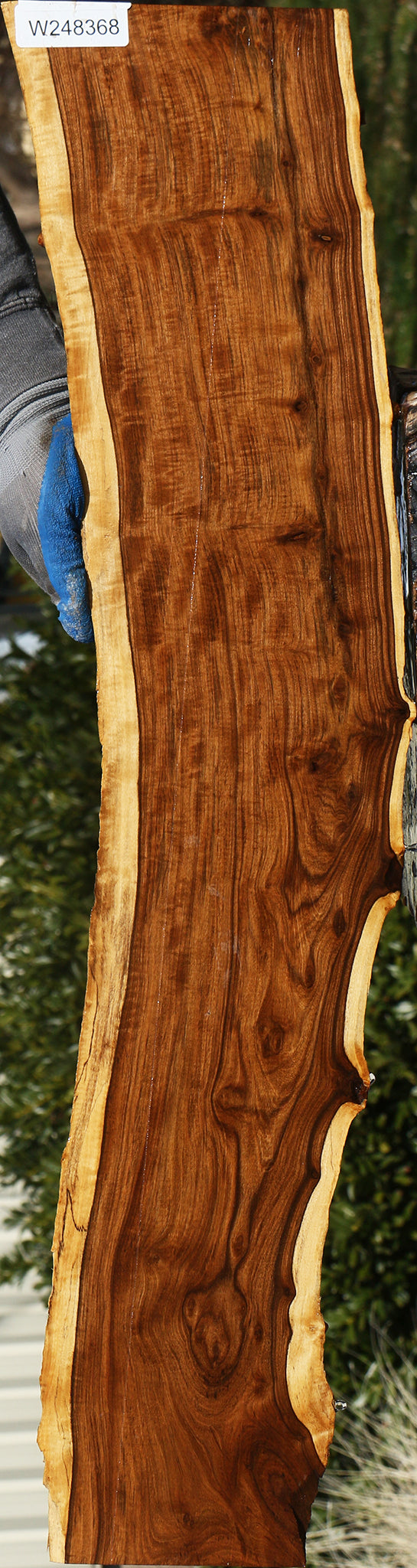 Extra Fancy Tamboti Live Edge Lumber