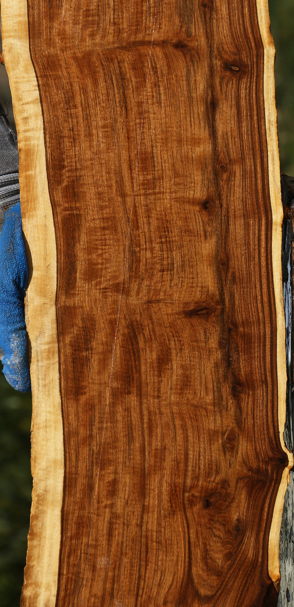 Extra Fancy Tamboti Live Edge Lumber