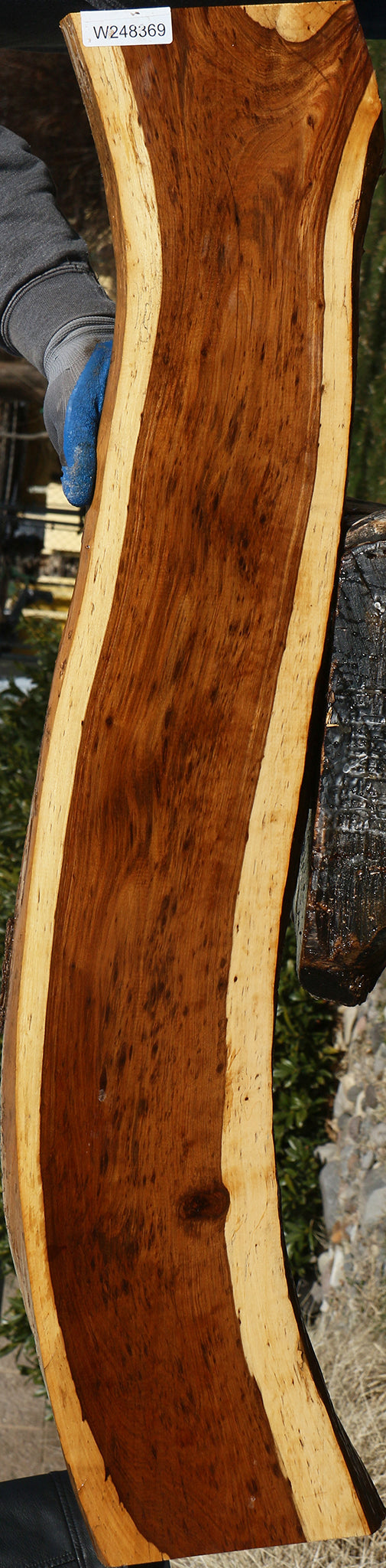 Tamboti Live Edge Lumber