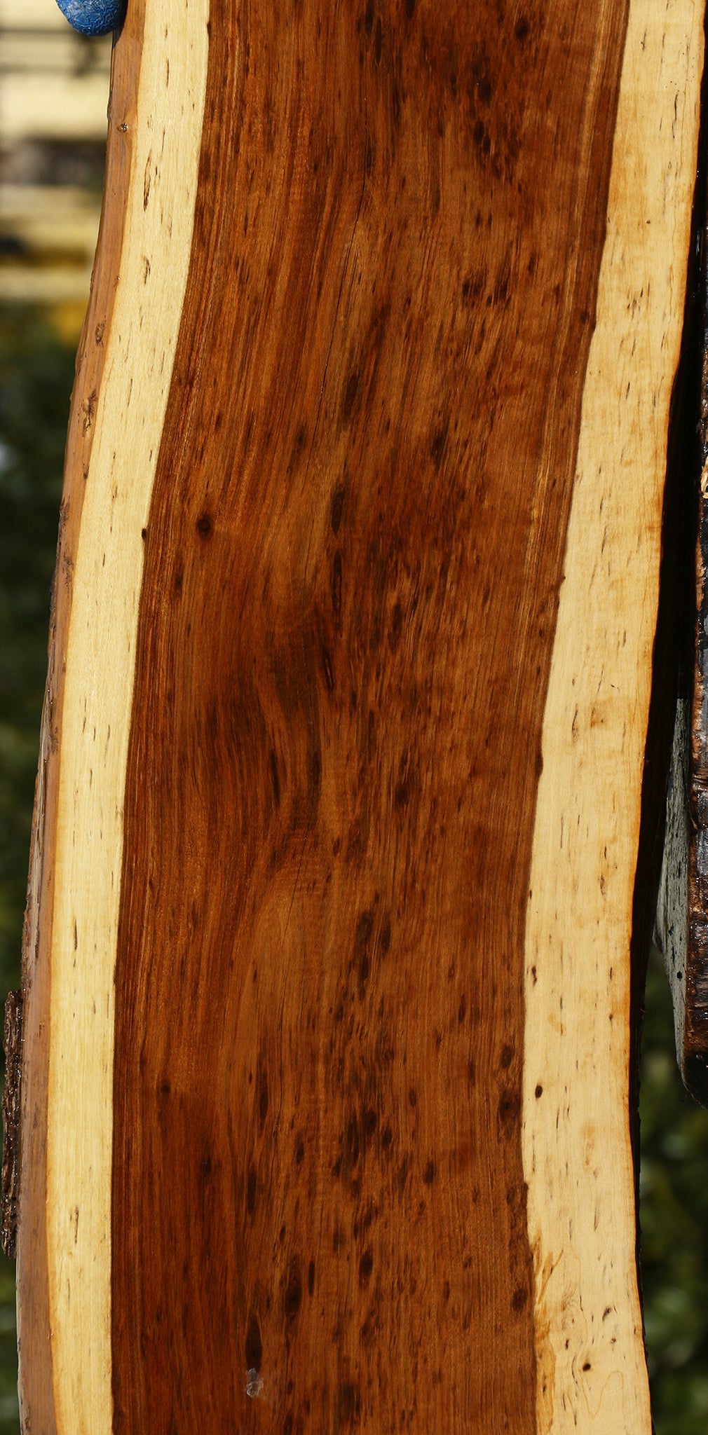 Tamboti Live Edge Lumber