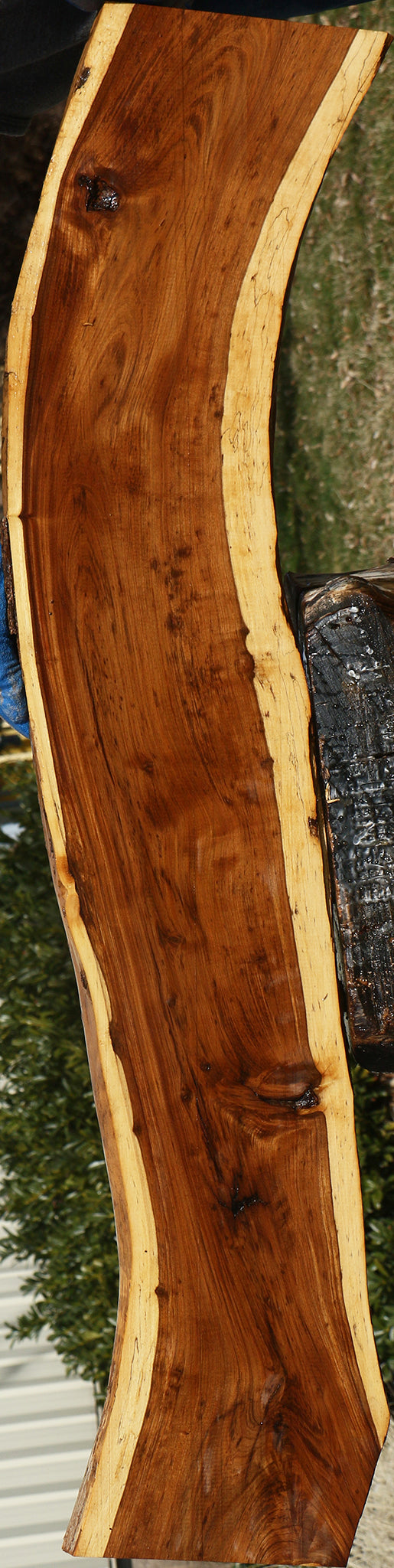 Tamboti Live Edge Lumber