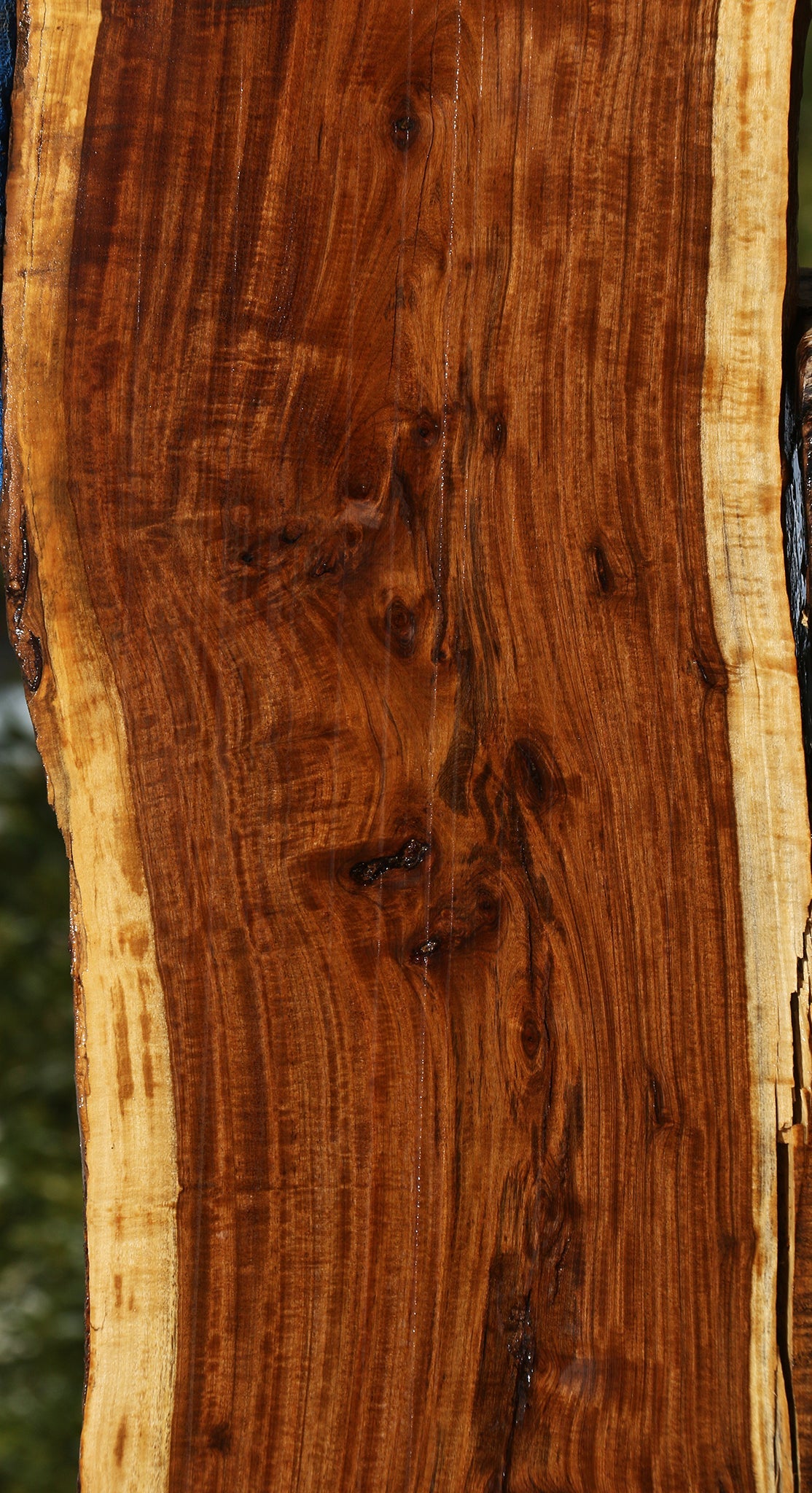 Figured Tamboti Live Edge Lumber