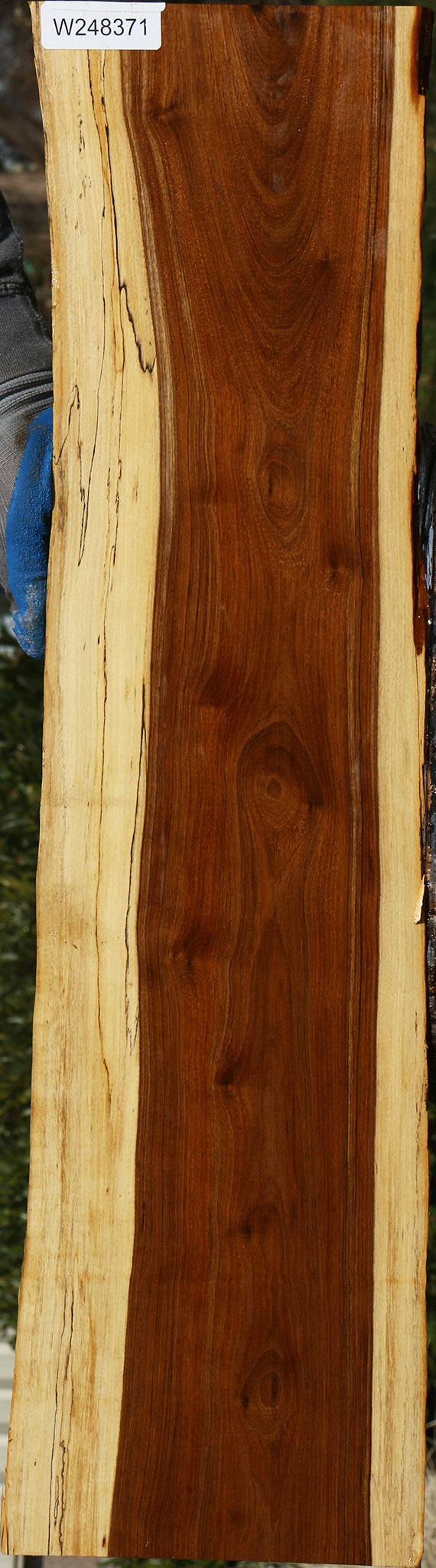 Tamboti Live Edge Lumber