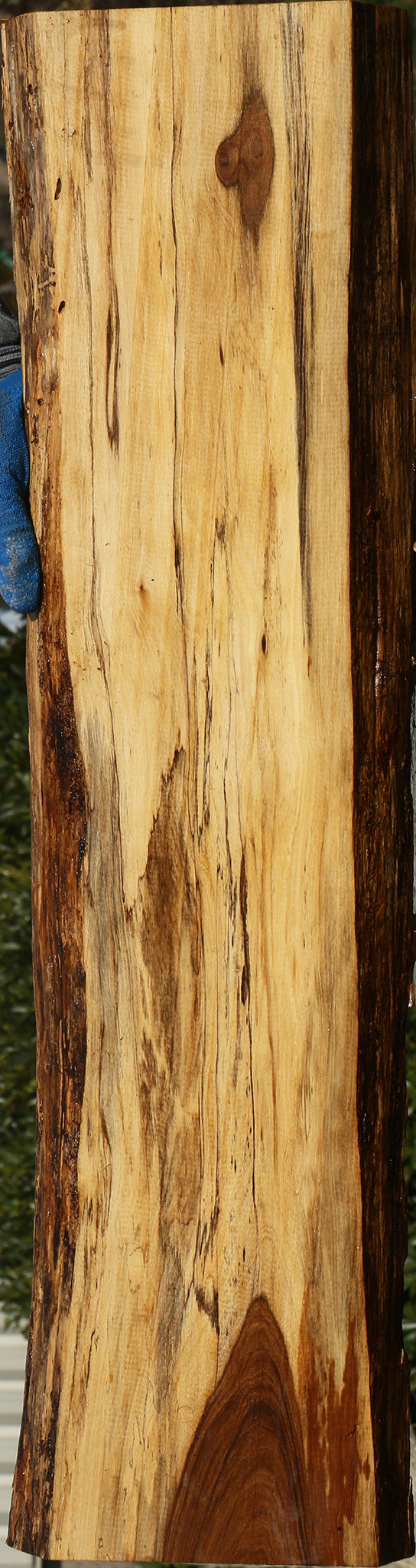 Tamboti Live Edge Lumber