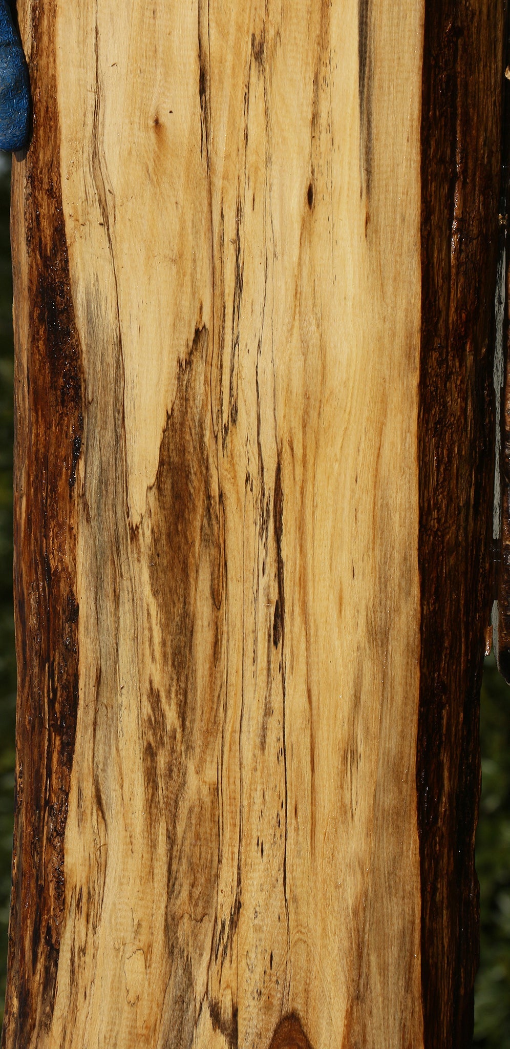 Tamboti Live Edge Lumber