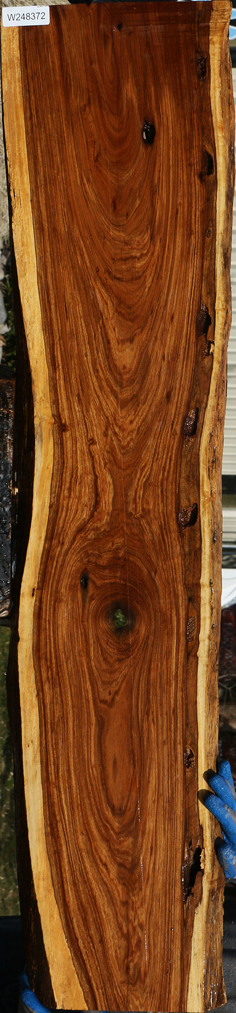 Rustic Tamboti Live Edge Lumber