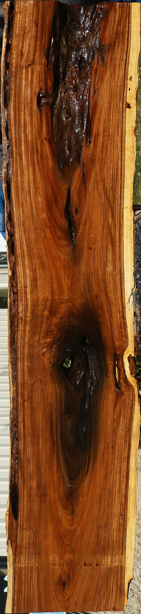Rustic Tamboti Live Edge Lumber