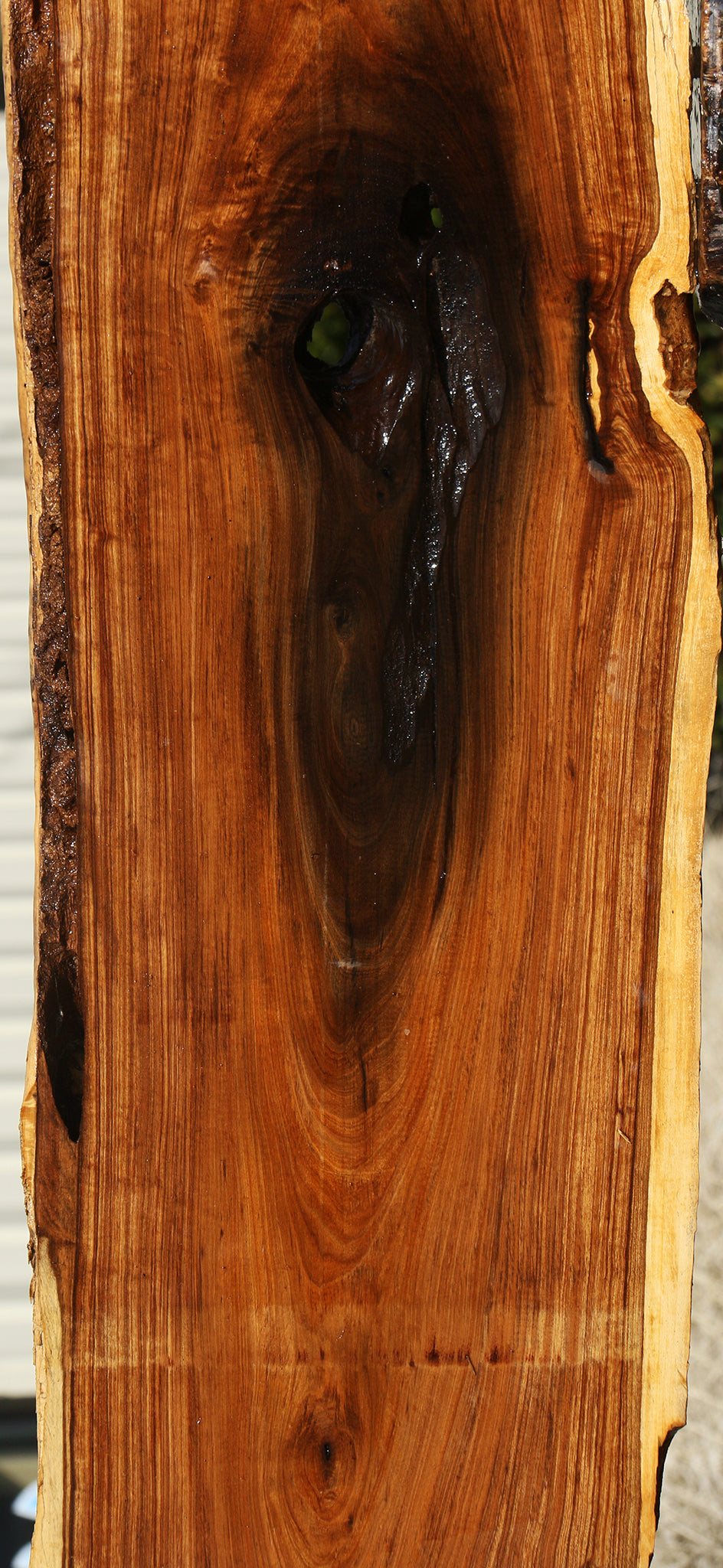 Rustic Tamboti Live Edge Lumber
