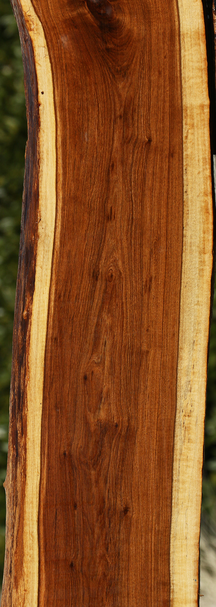 Tamboti Live Edge Lumber