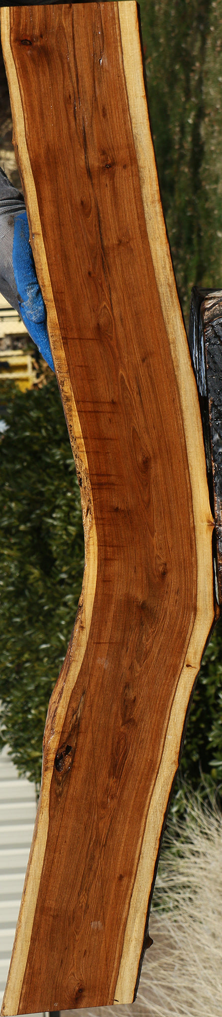 Tamboti Live Edge Lumber