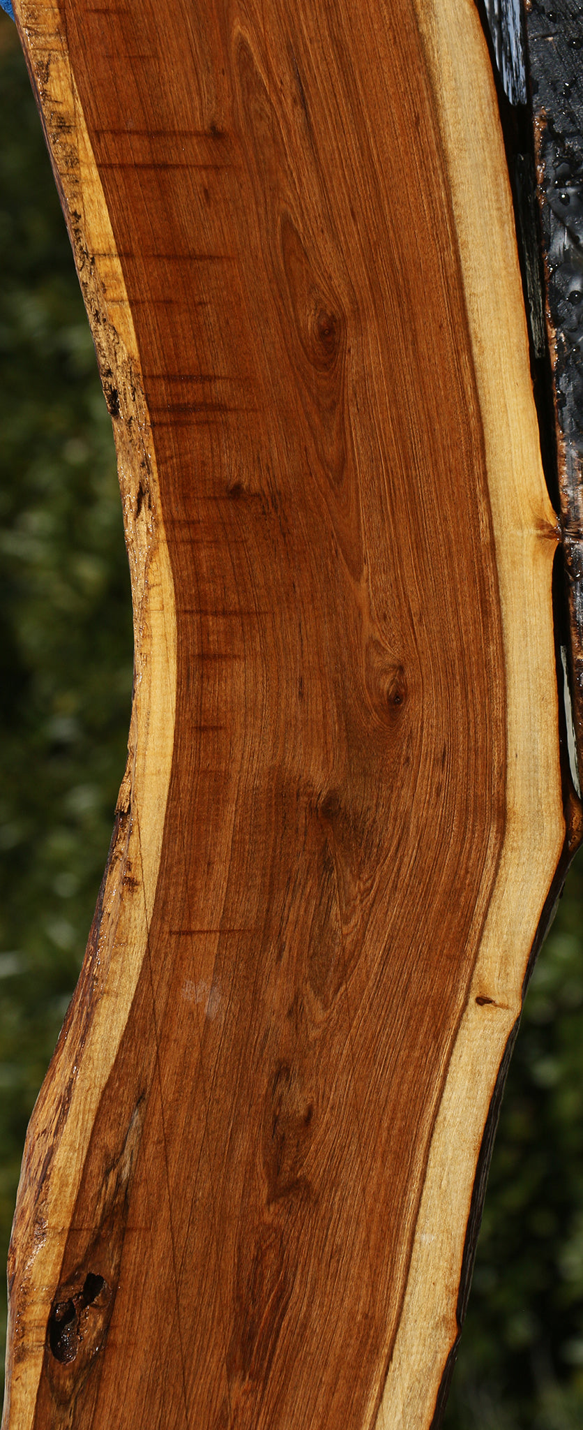 Tamboti Live Edge Lumber