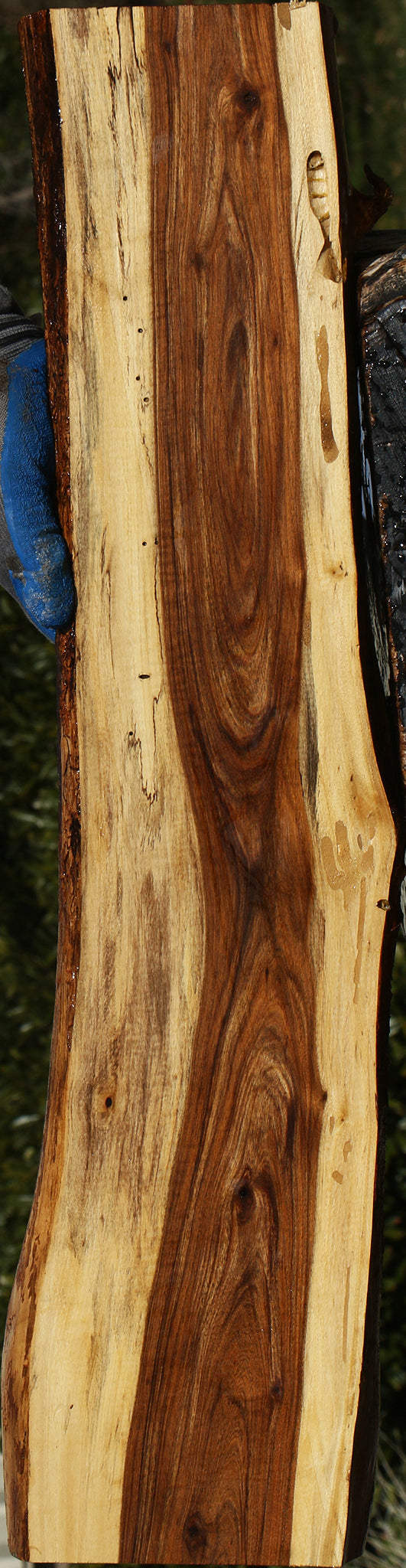Tamboti Live Edge Lumber