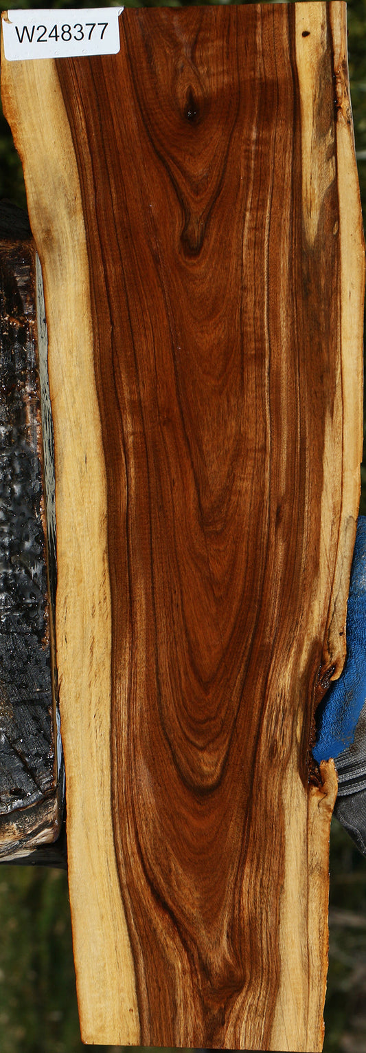 Tamboti Live Edge Lumber