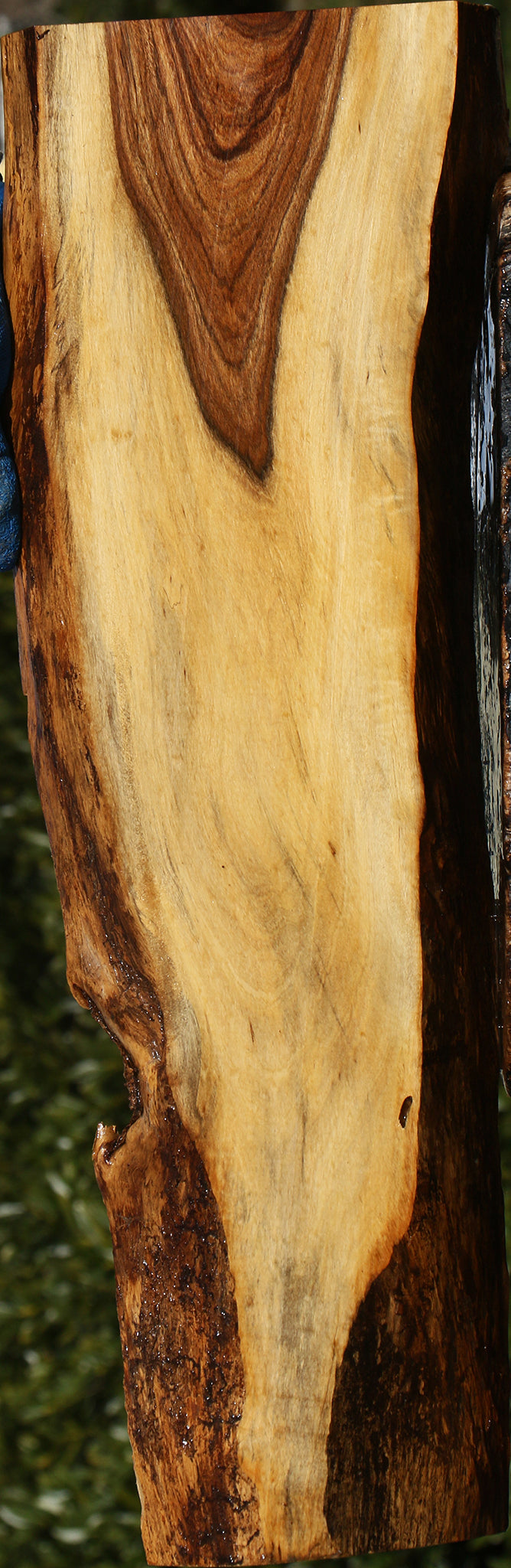 Tamboti Live Edge Lumber