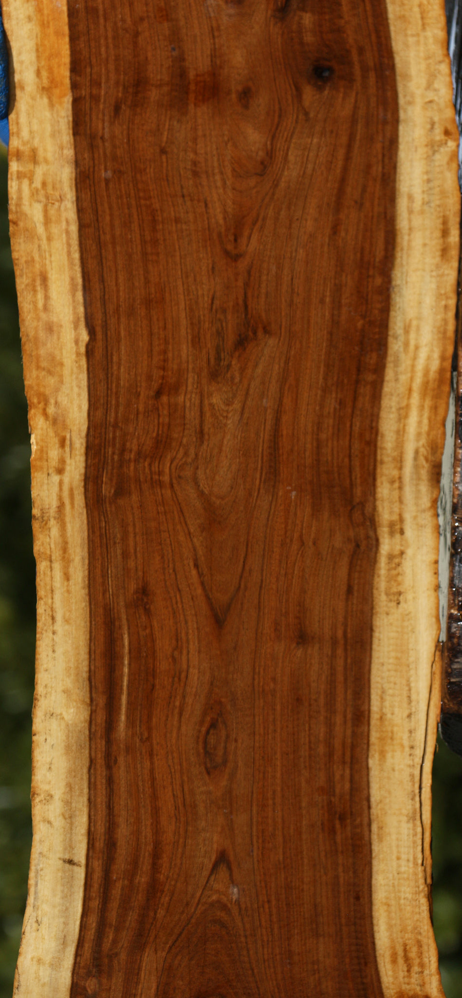 Tamboti Live Edge Lumber