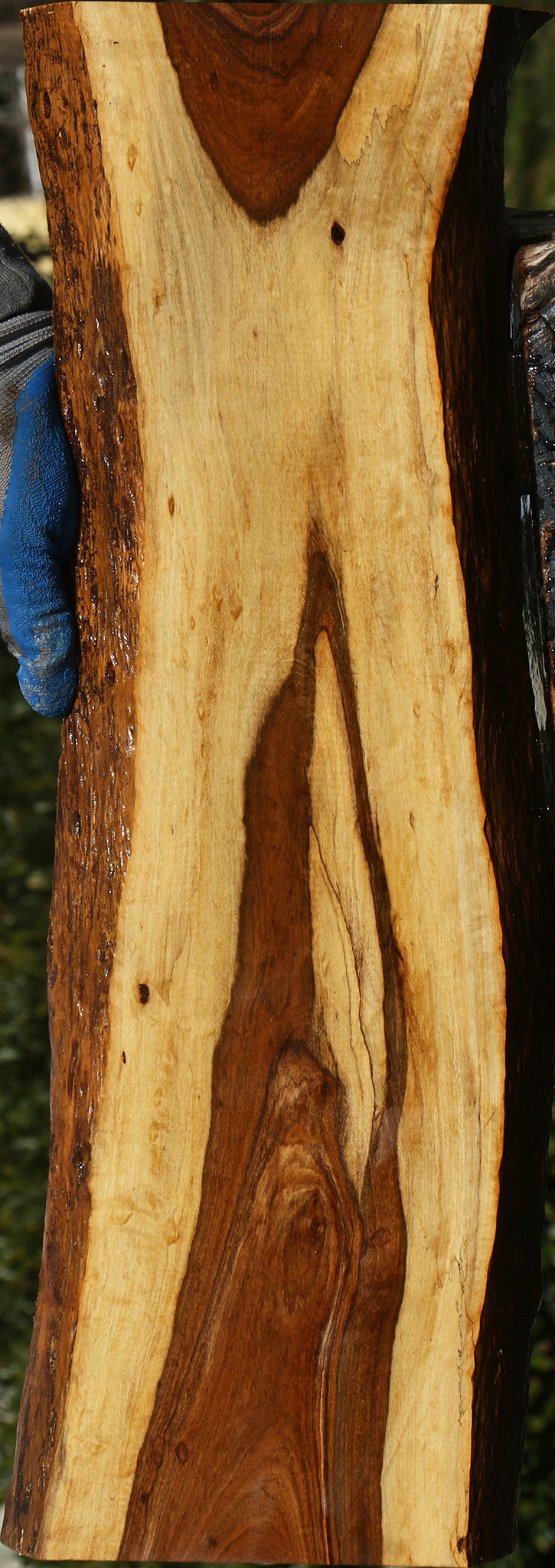 Tamboti Live Edge Lumber