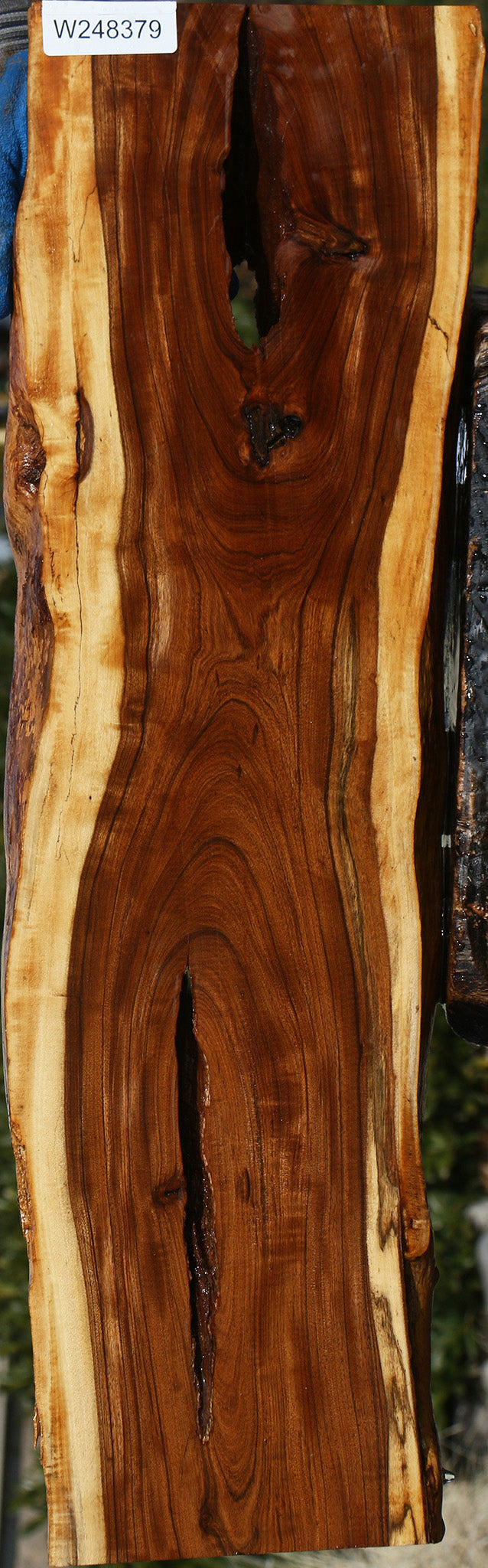 Figured Tamboti Live Edge Lumber