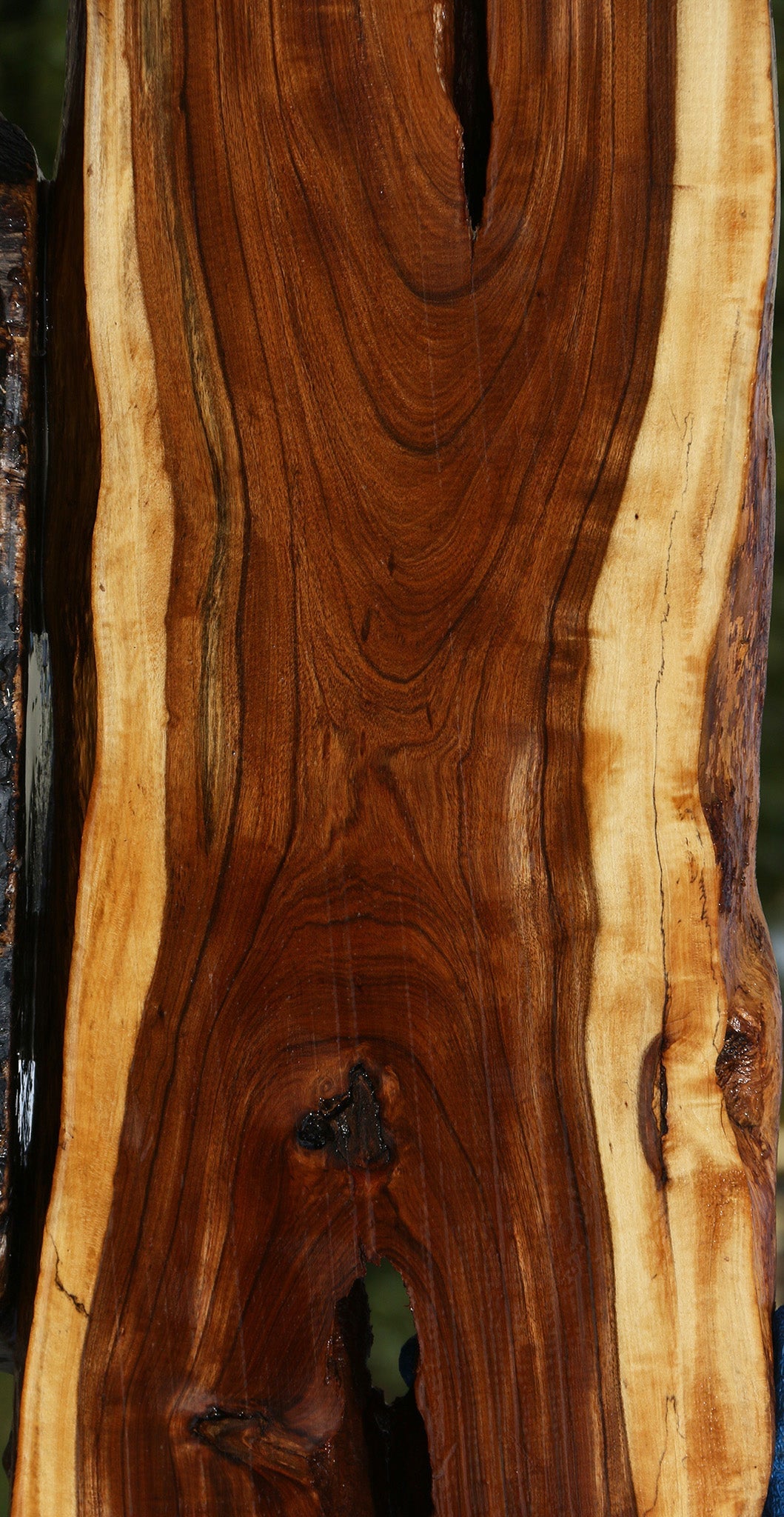 Figured Tamboti Live Edge Lumber