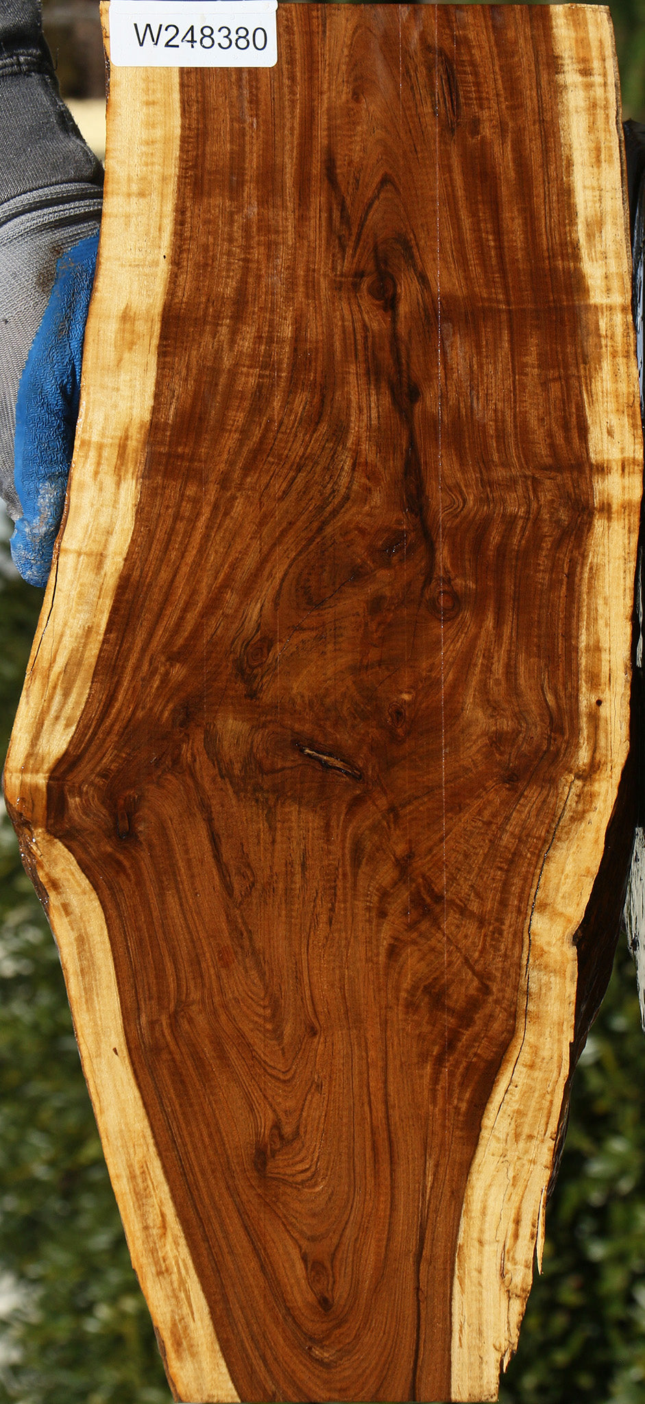 Figured Tamboti Live Edge Lumber