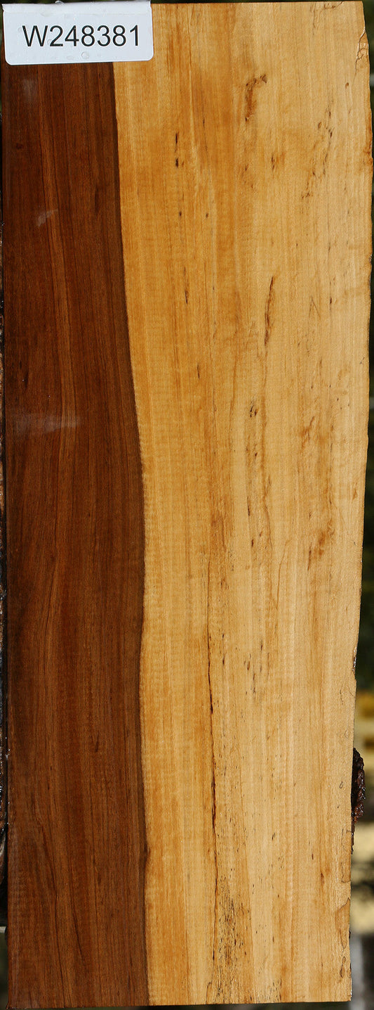 Tamboti Live Edge Lumber