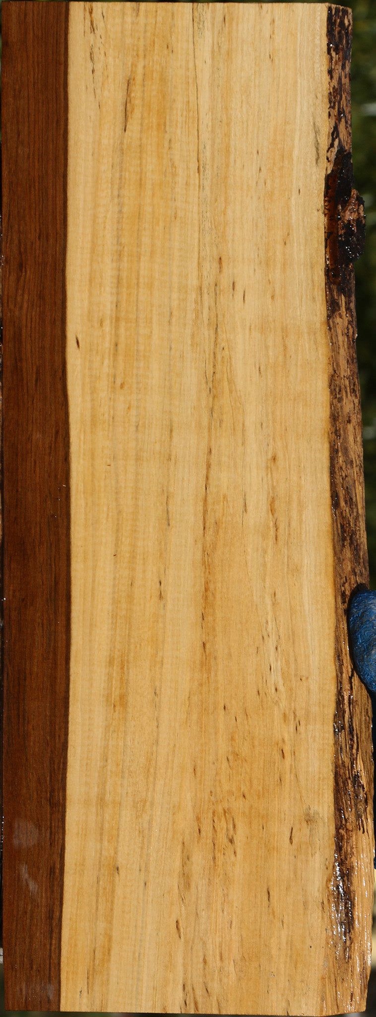 Tamboti Live Edge Lumber