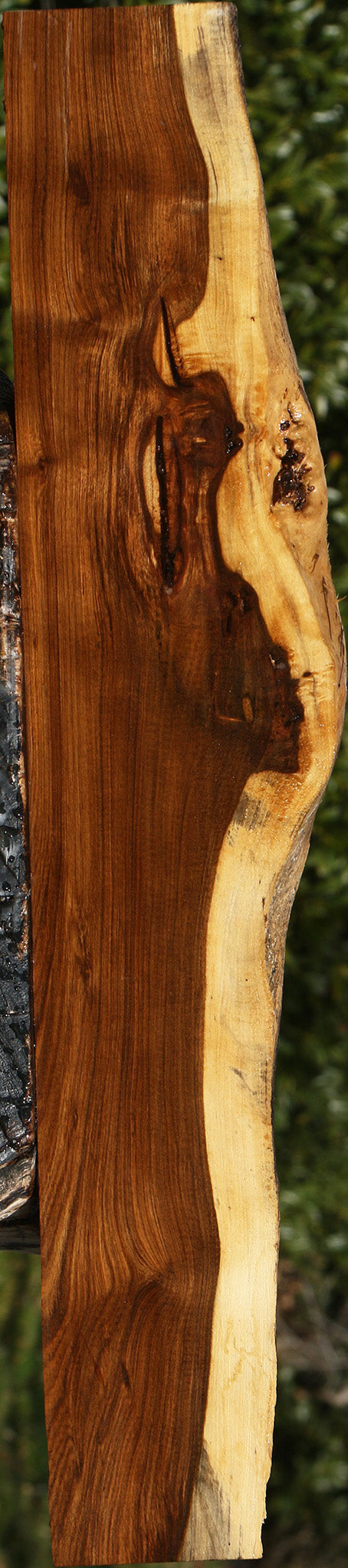 Tamboti Live Edge Lumber