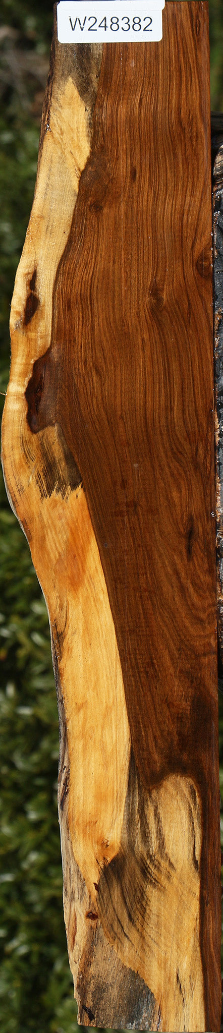 Tamboti Live Edge Lumber