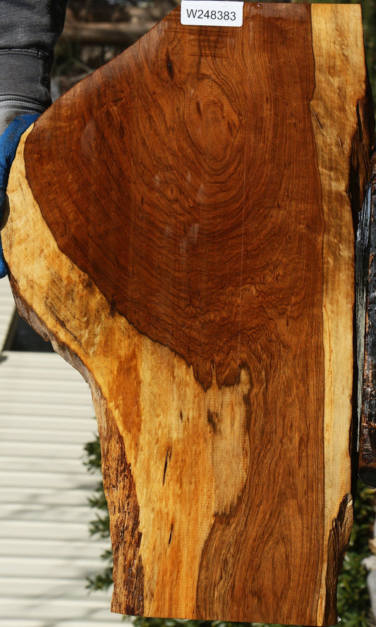Figured Tamboti Live Edge Lumber