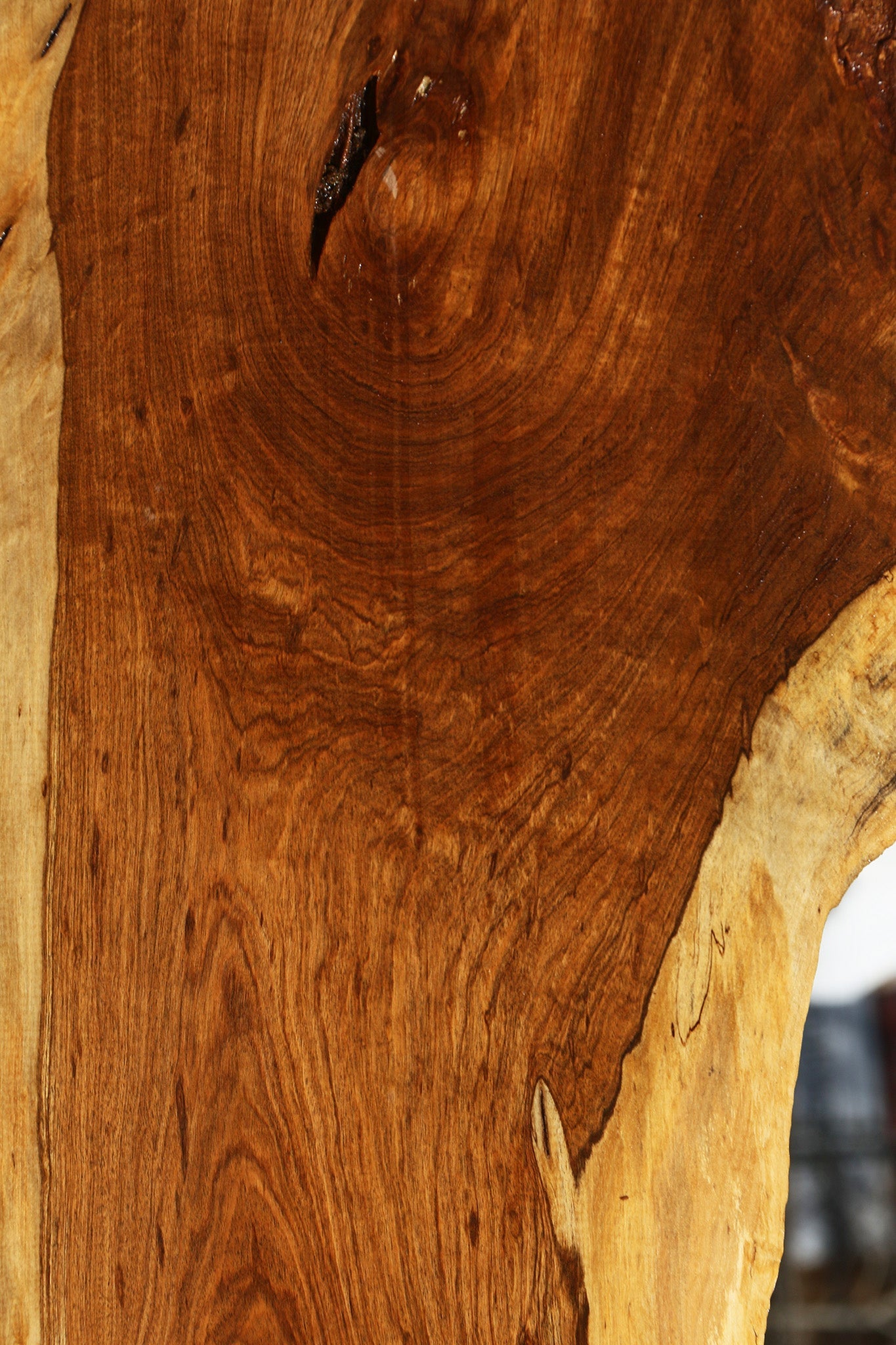 Figured Tamboti Live Edge Lumber