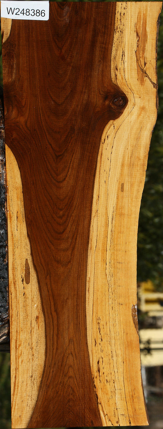 Tamboti Live Edge Lumber
