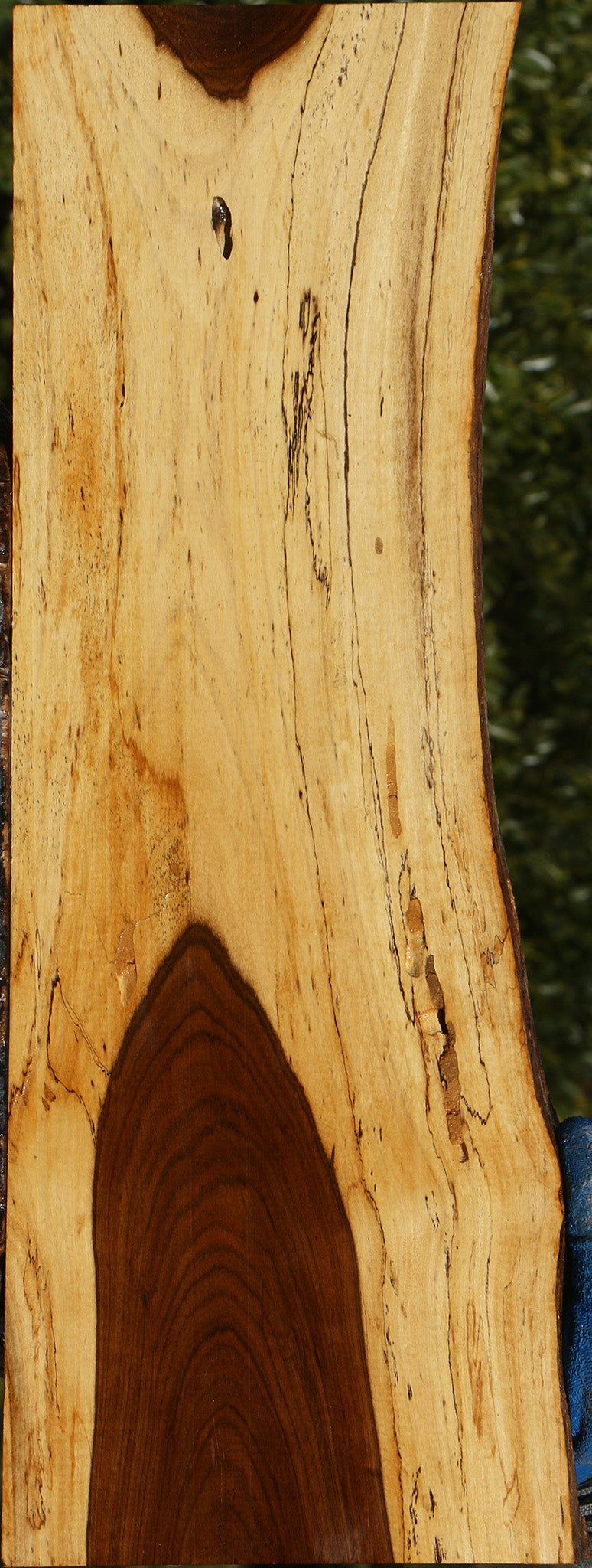 Tamboti Live Edge Lumber