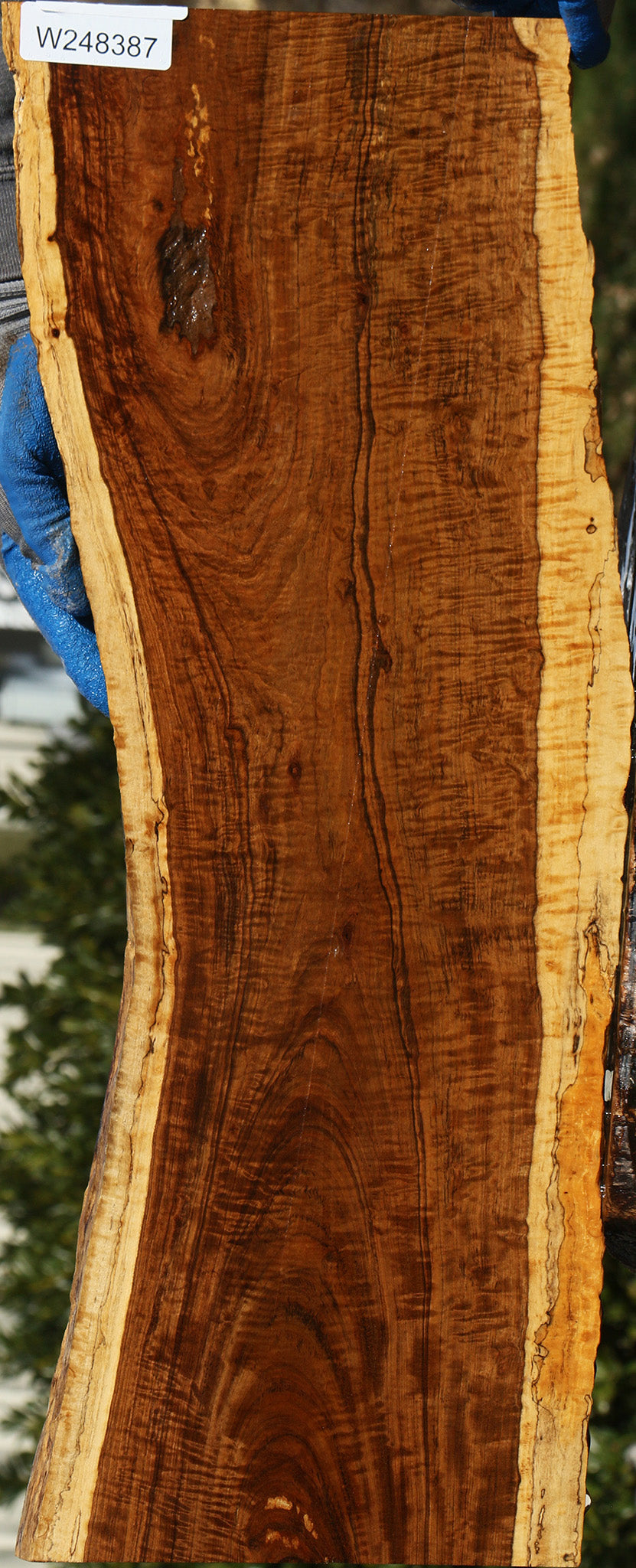 Extra Fancy Tamboti Live Edge Lumber