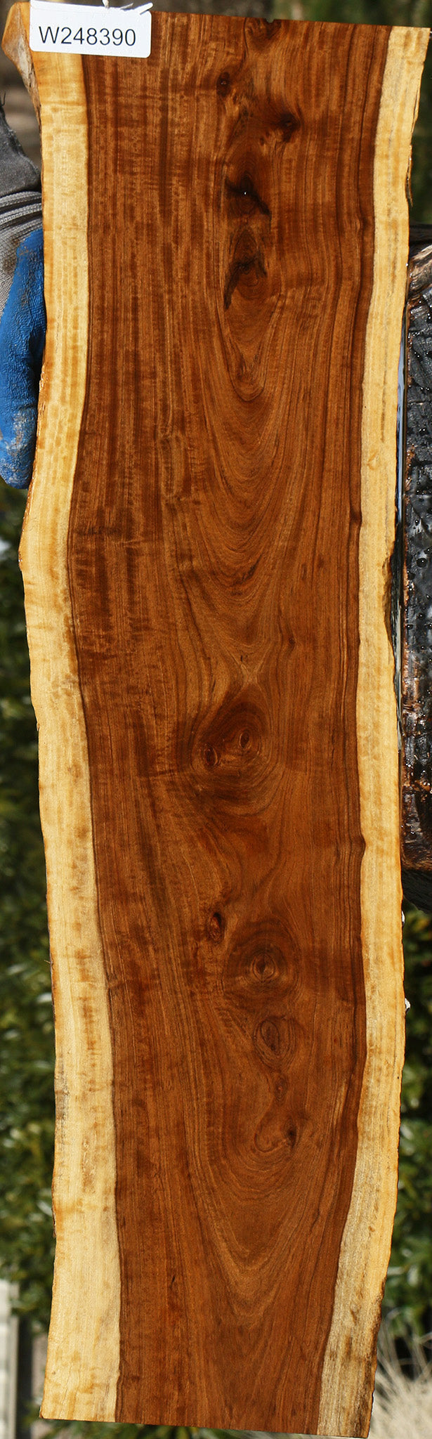 Figured Tamboti Live Edge Lumber