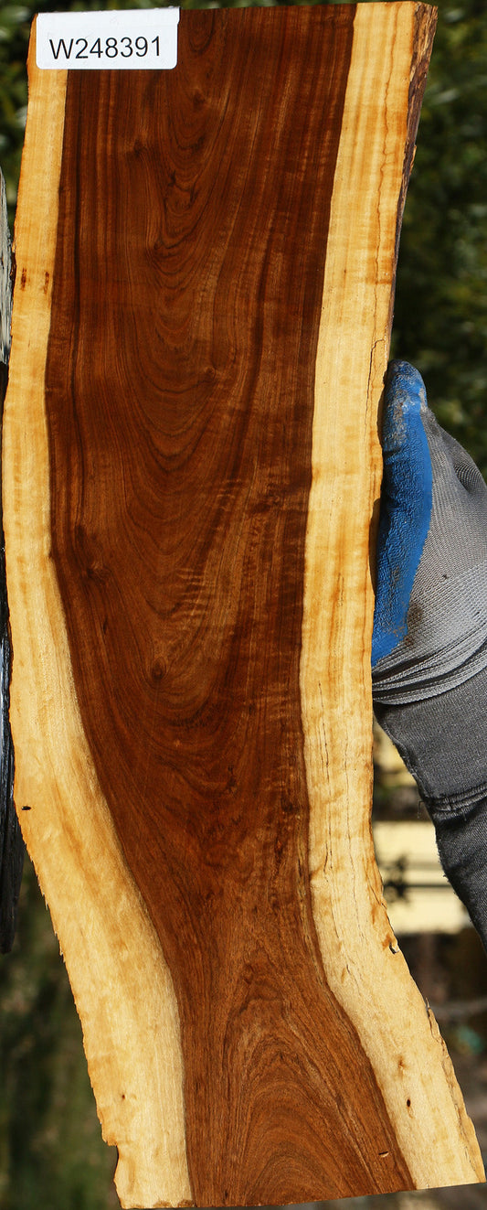 Figured Tamboti Live Edge Lumber