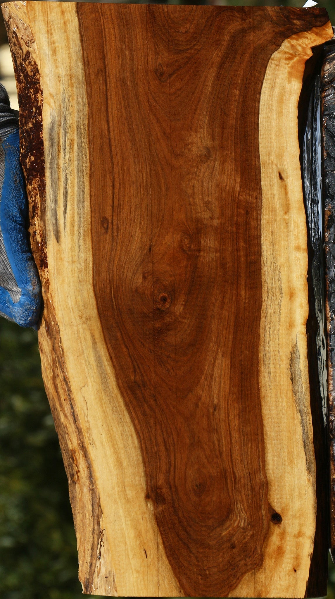 Tamboti Live Edge Lumber