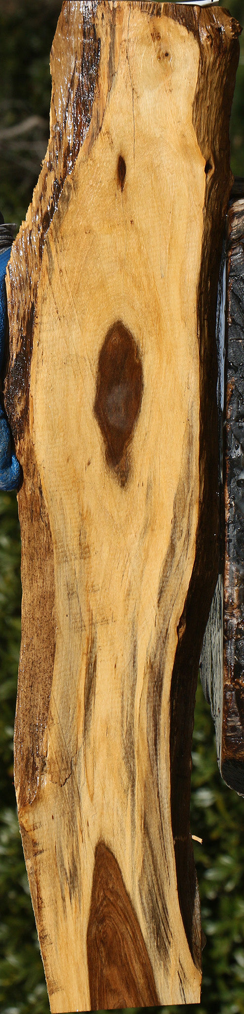 Tamboti Live Edge Lumber