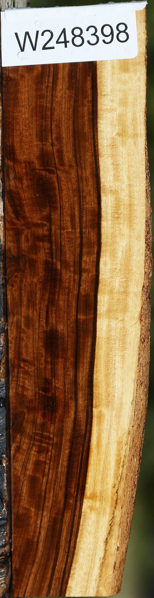 Figured Tamboti Live Edge Lumber