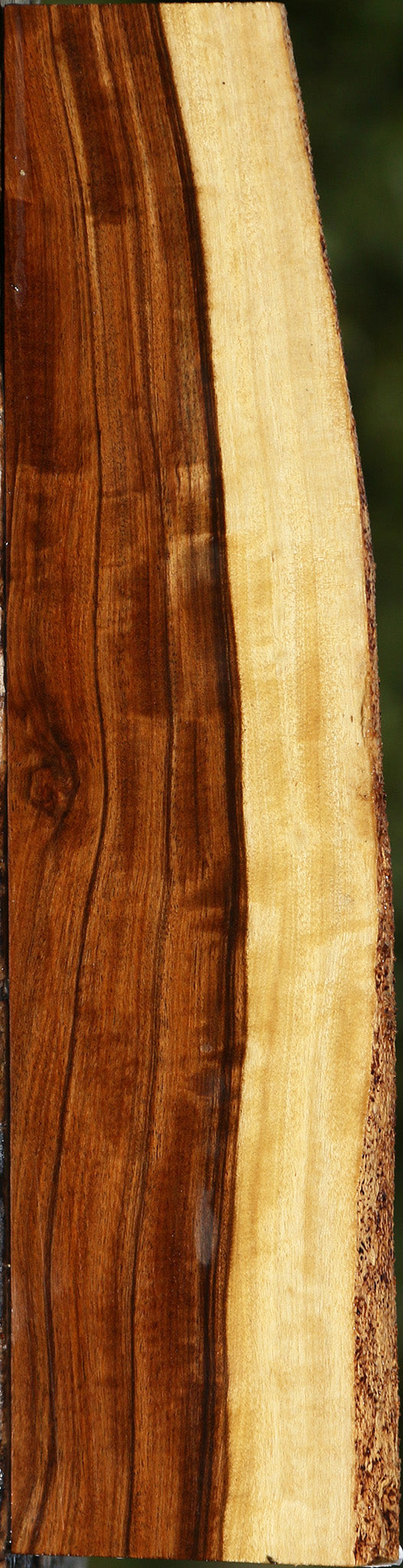 Figured Tamboti Live Edge Lumber