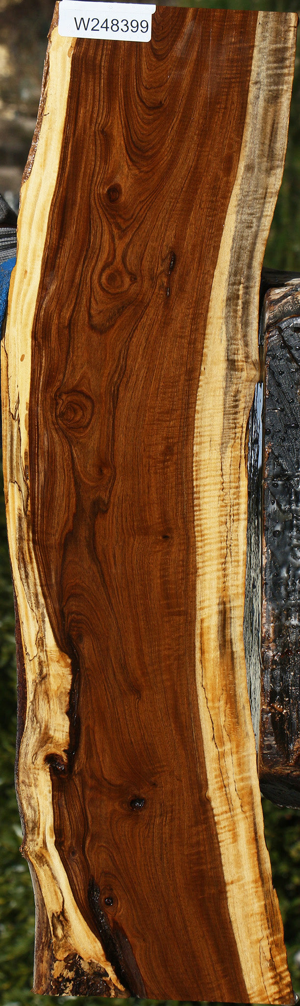 Tamboti Live Edge Lumber