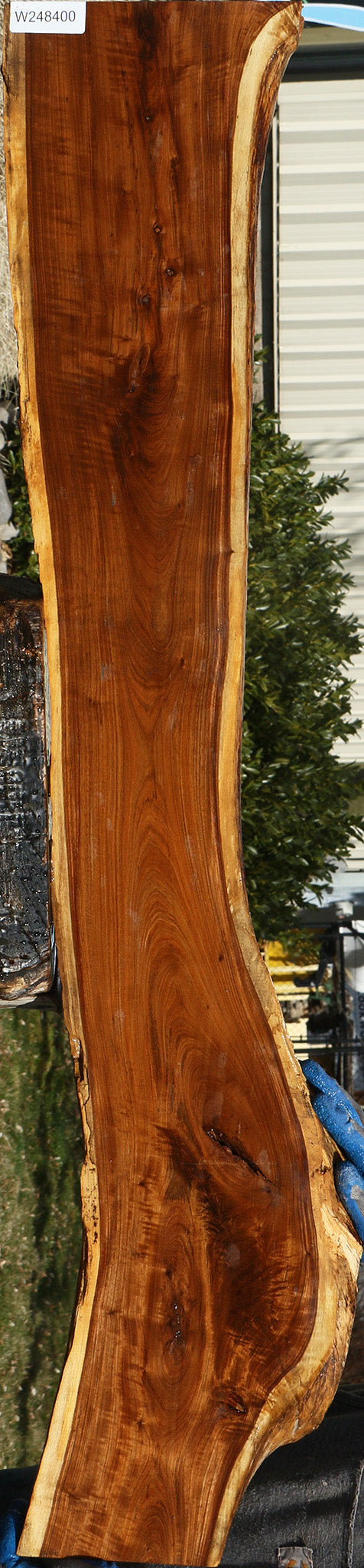 Figured Tamboti Live Edge Lumber