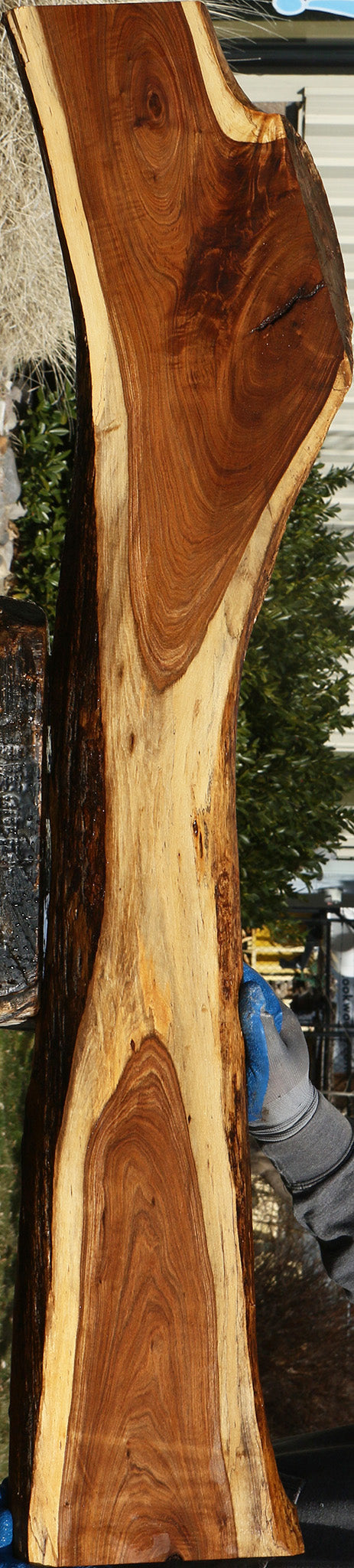 Figured Tamboti Live Edge Lumber