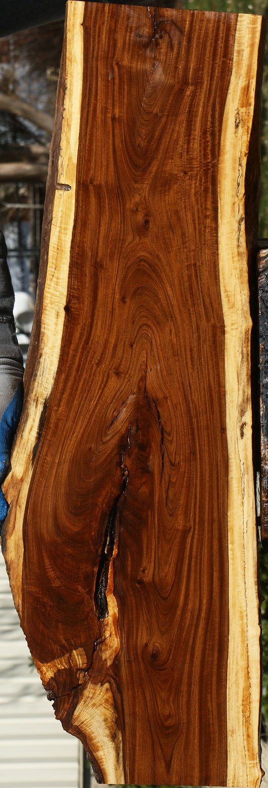 Figured Tamboti Live Edge Lumber