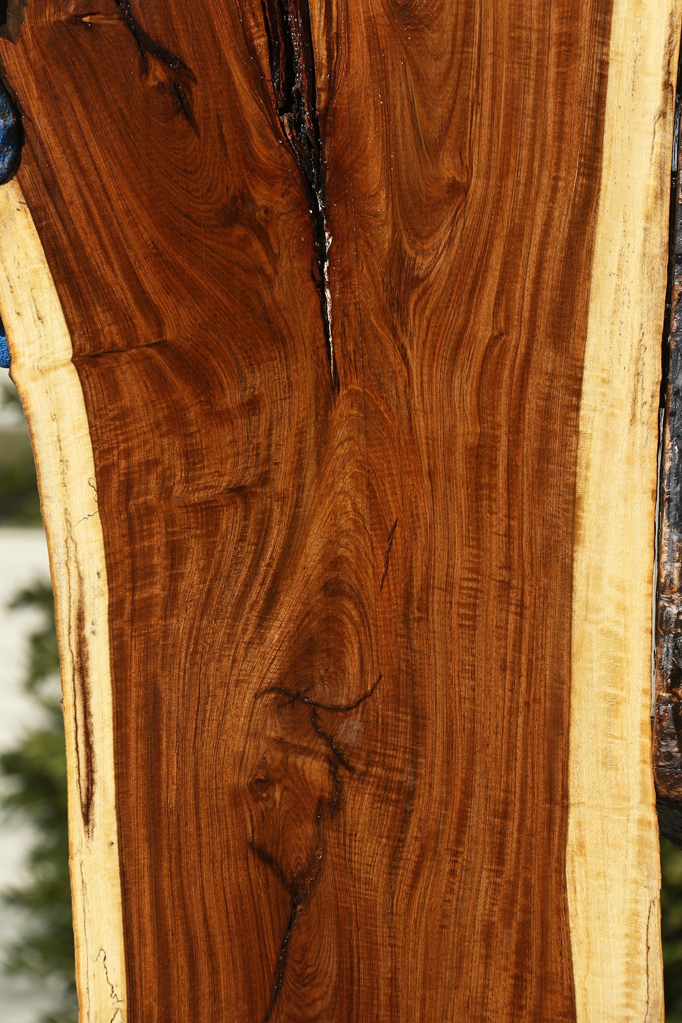 Figured Tamboti Live Edge Lumber