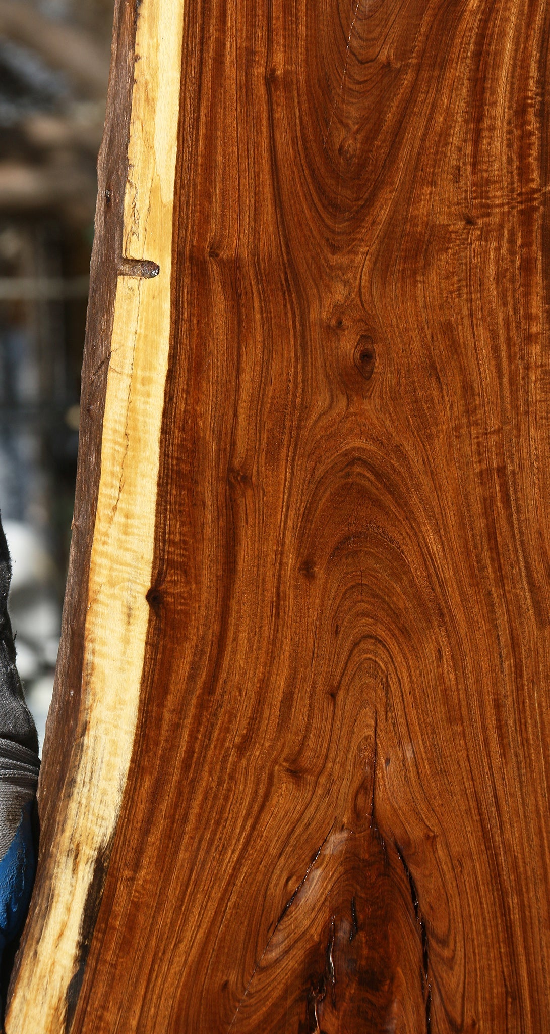 Figured Tamboti Live Edge Lumber