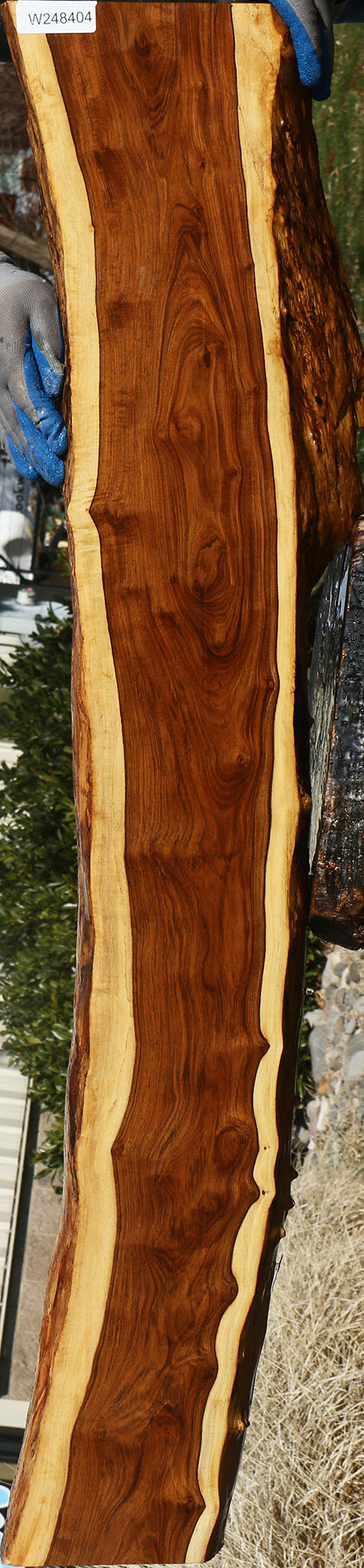 Extra Fancy Tamboti Live Edge Lumber