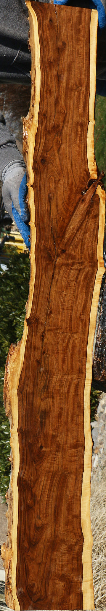 Extra Fancy Tamboti Live Edge Lumber